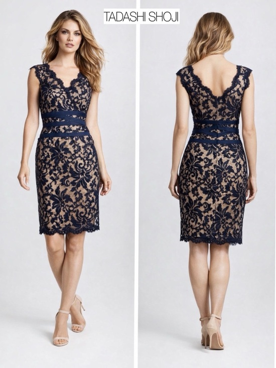 Tadashi Shoji Dresses & Skirts - Tadashi Shoji Lace & Tulle Sheath Dress 6 Navy Nude Cocktail Party Wedding Guest